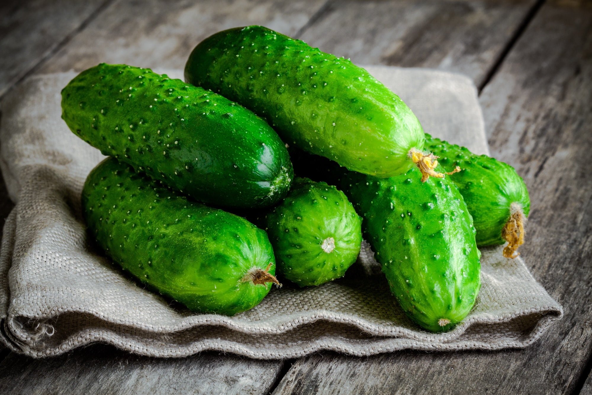 fresh organic cucumbers on sacking