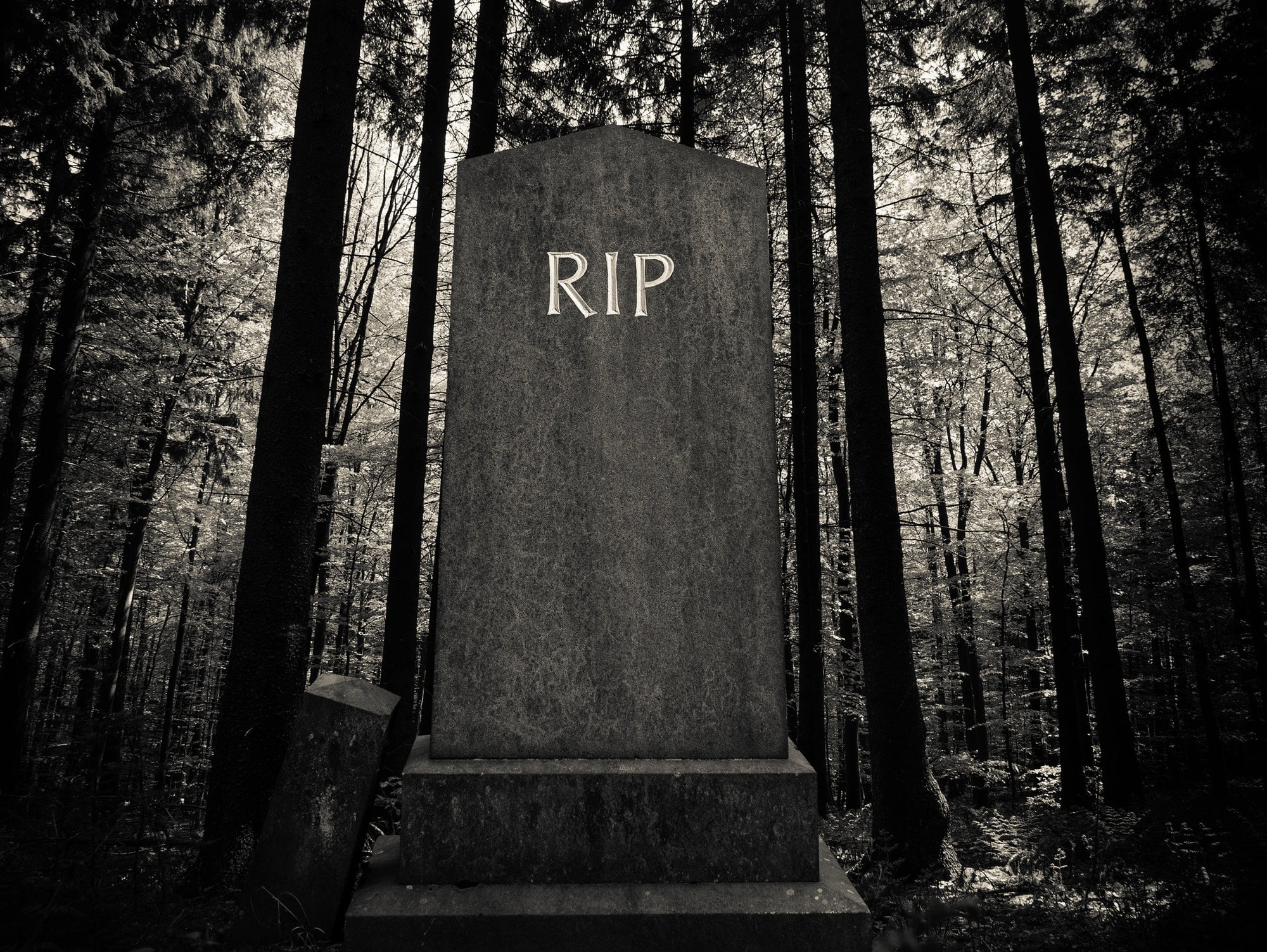 Spooky Forest Gravestone