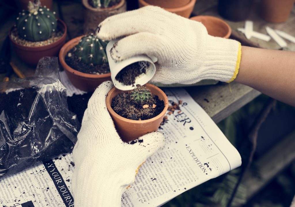 Woman gardening