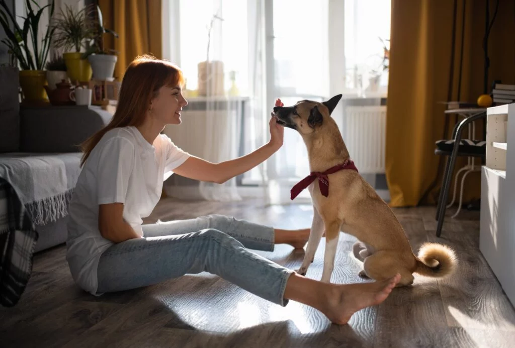 Smiling woman rewarding dog for trick
